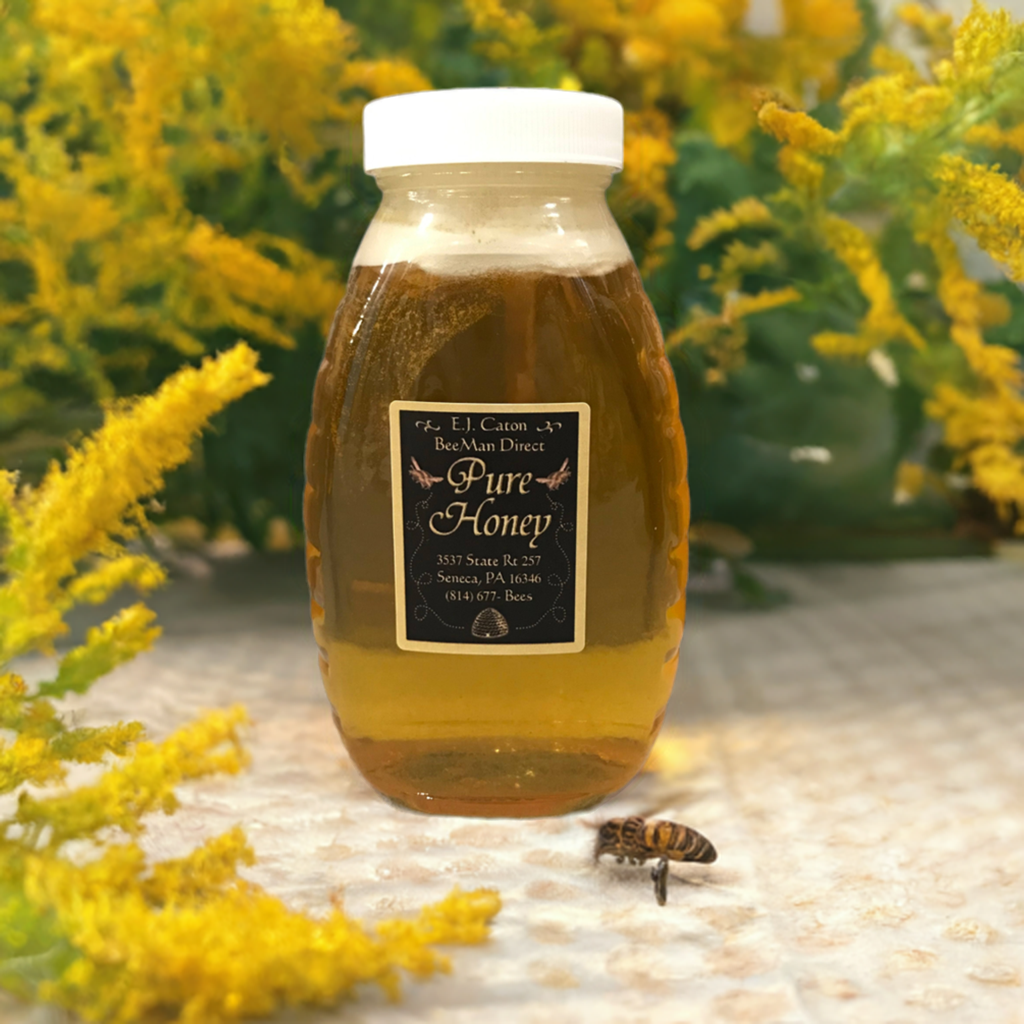 Golden Rod Honey
