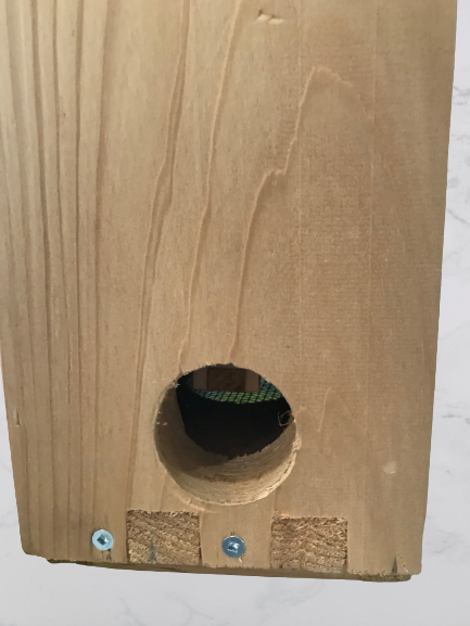 Observation hive
