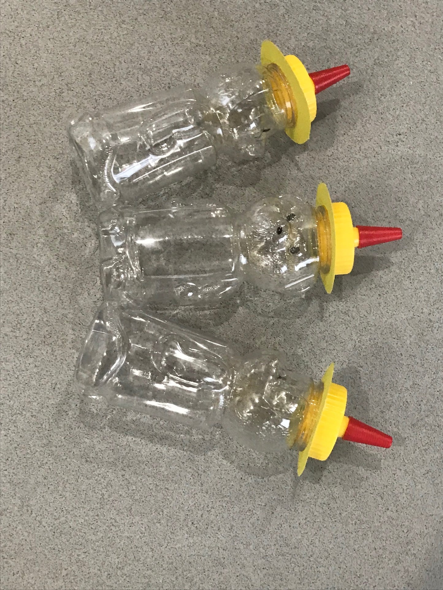 Plastic Squeeze Bear