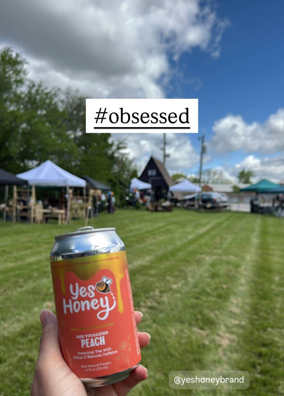 Yes Honey - Yes Honey Peach Soda | Adaptogen | No Corn Syrup | Clean