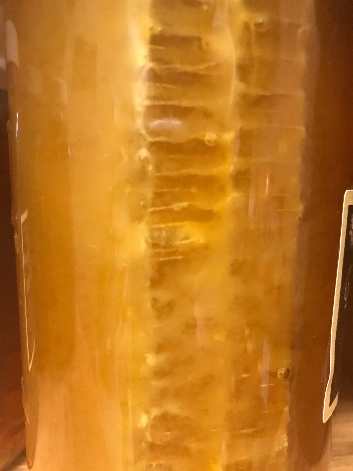 Clover honey with comb honey